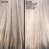 COLOR EXTEND GRAYDIANT CONDITIONER